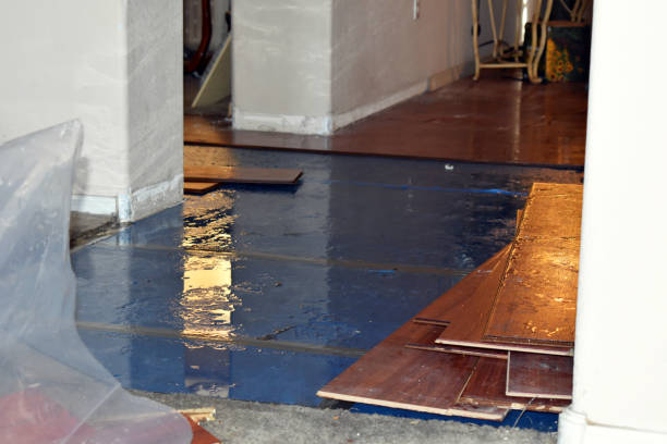 Professional Water Damage Restoration technician working in Alto, TX